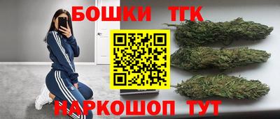 альфа пвп Новодвинск