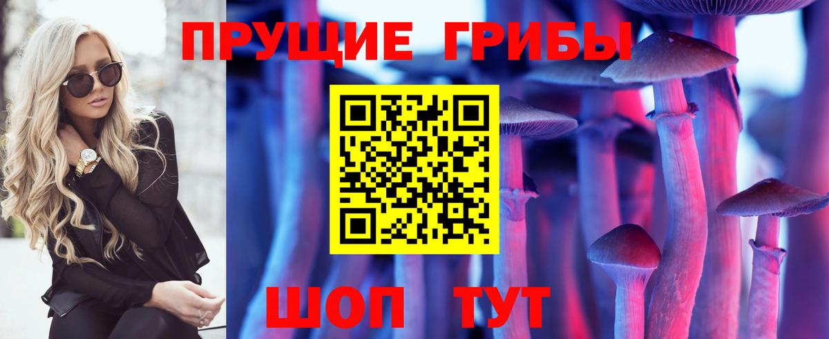 Рубцовск  Галлюциногенные грибы мухоморы  Галлюциногенные грибы Psilocybine cubensis  Вход с VPN 